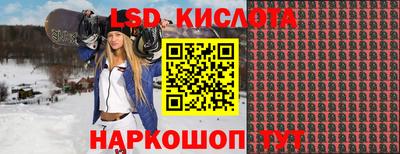 твердый Будённовск
