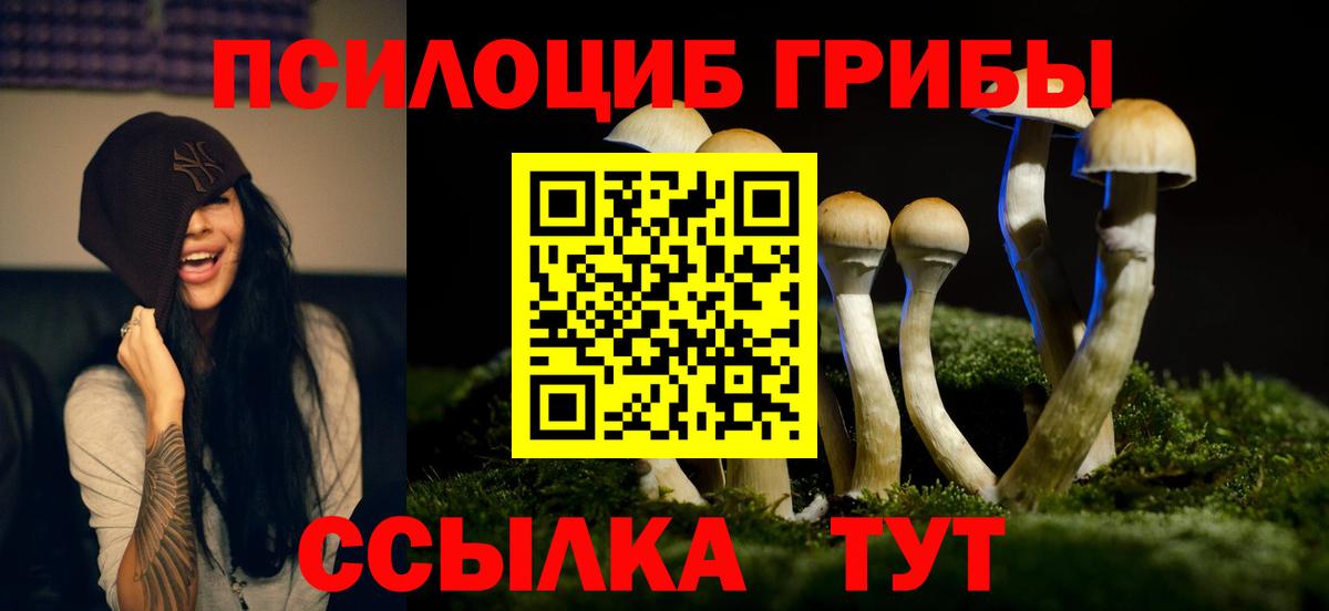 Псилоцибиновые грибы GOLDEN TEACHER  Вход с VPN  Конаково 